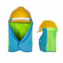 p1